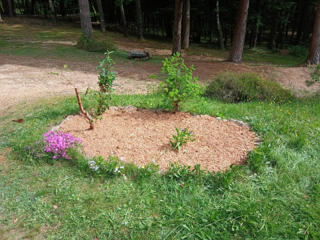 Massif dégagé, paillage et bordure en pierres